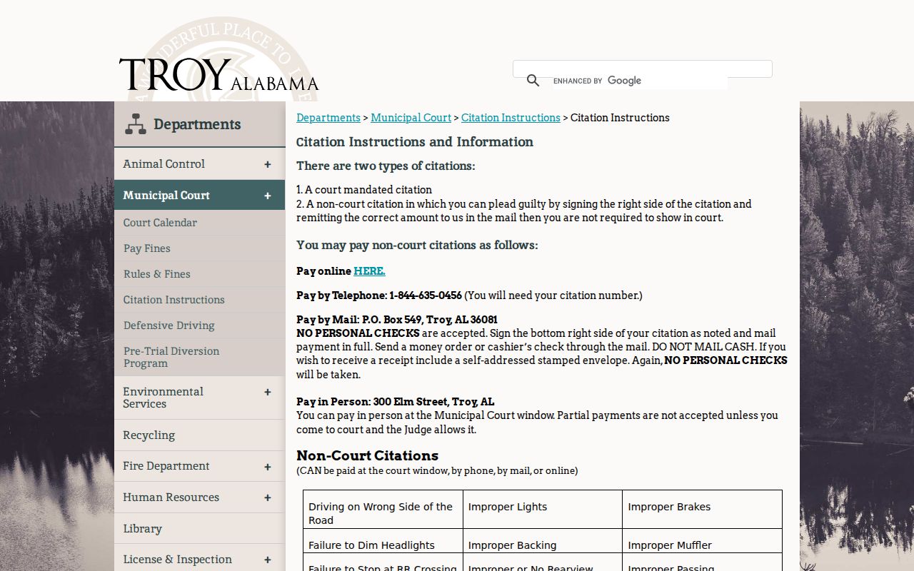 Troy payment channels for Pike County municipal traffic records