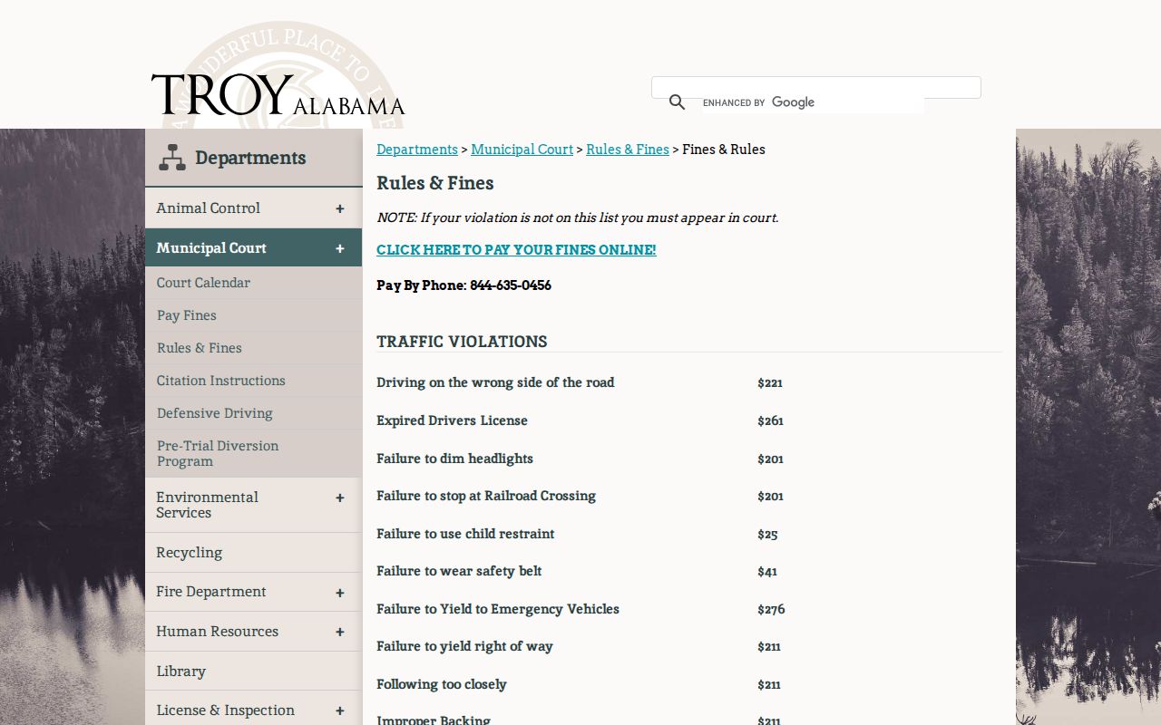 Troy rules and fines for Pike County municipal traffic records